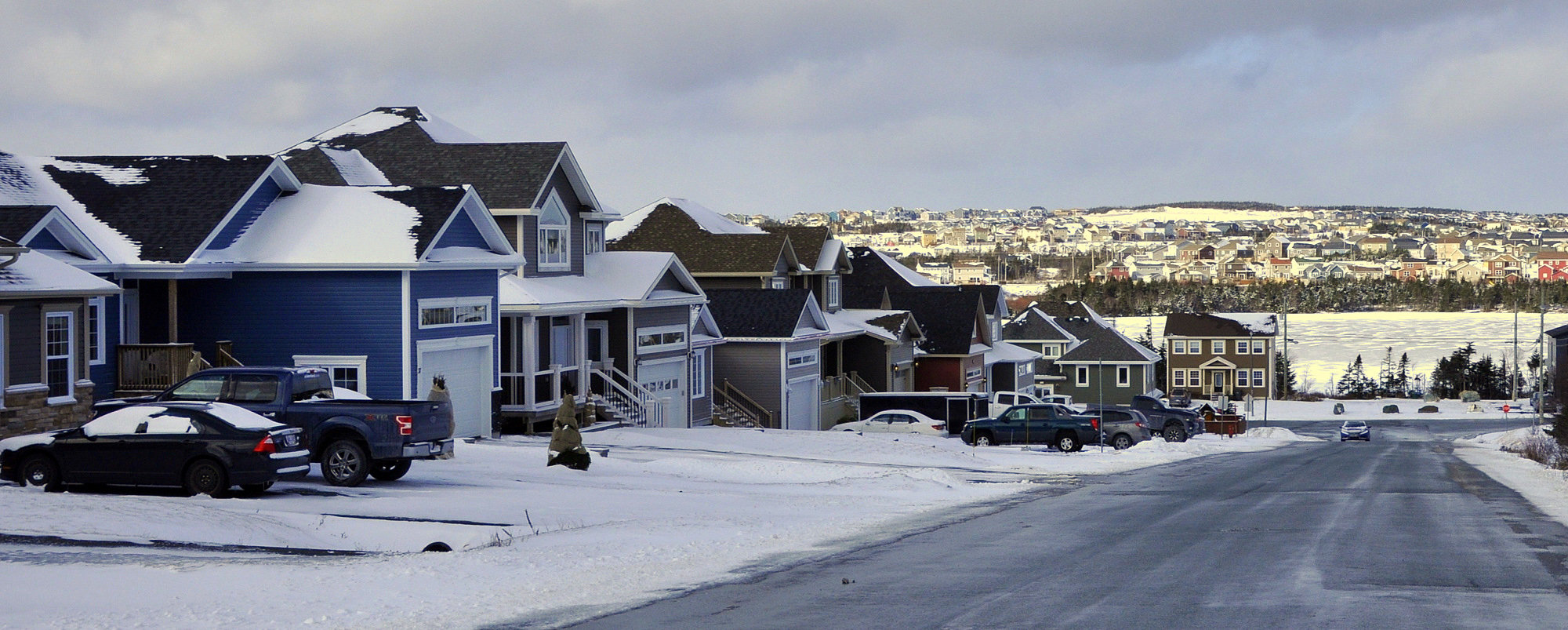 Paradise NL Real Estate Information Hann Group